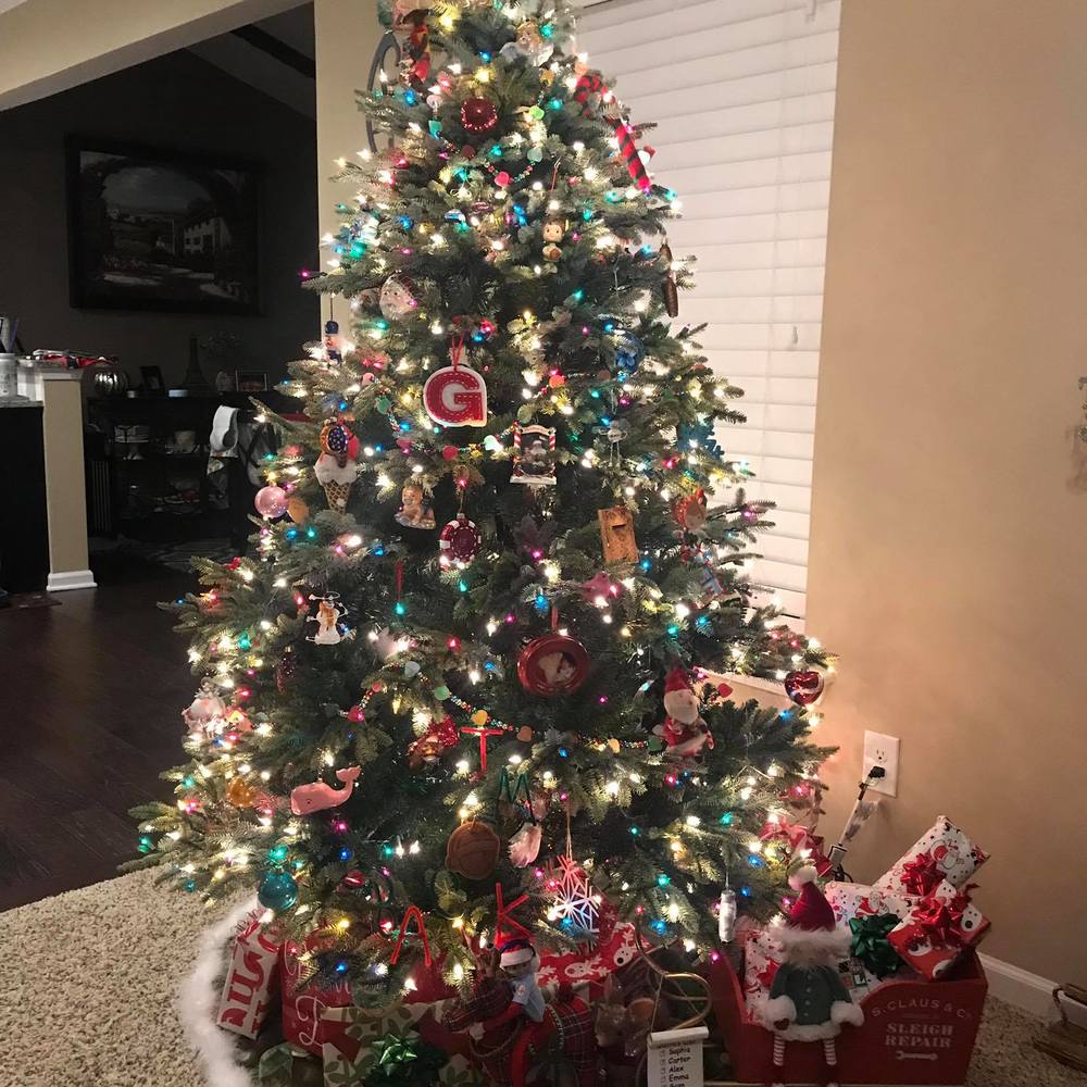 Meet your Posher, Heidi